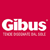 gibus
